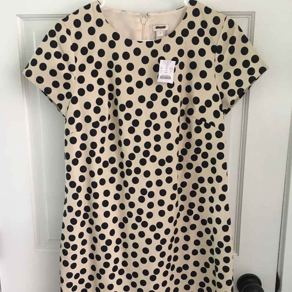 NWT JCREW FACTORY Polka Dot Dress Sz 2